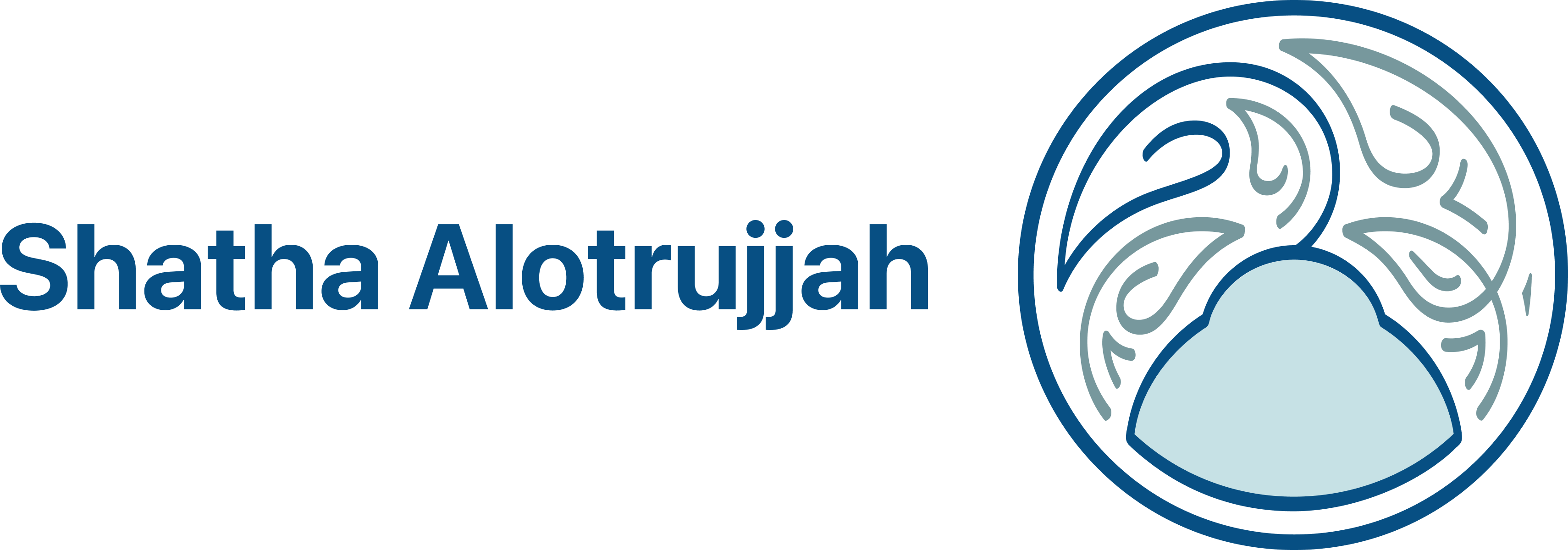 program image