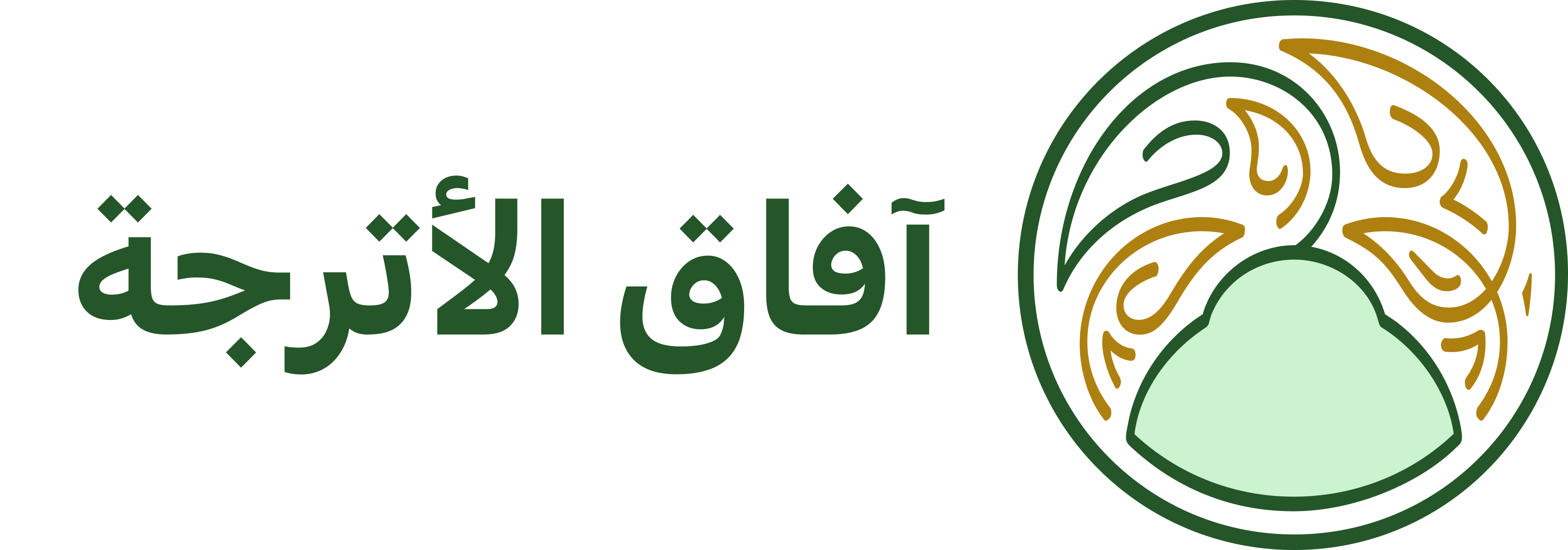 program image