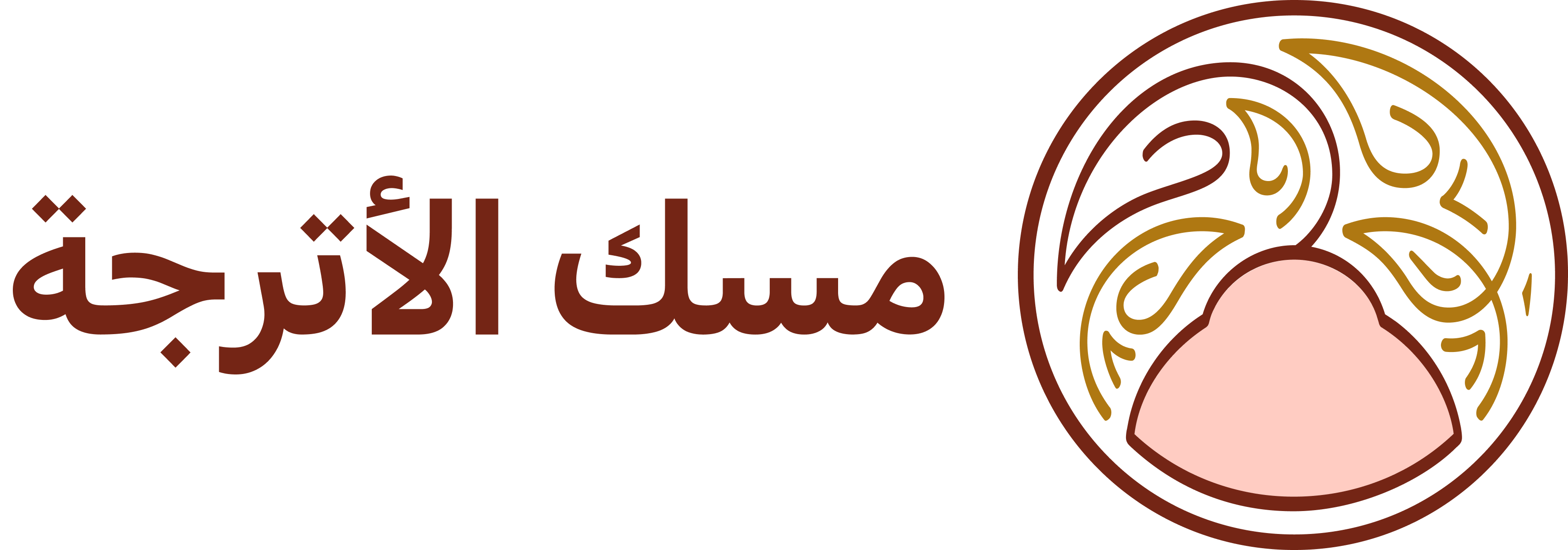 program image