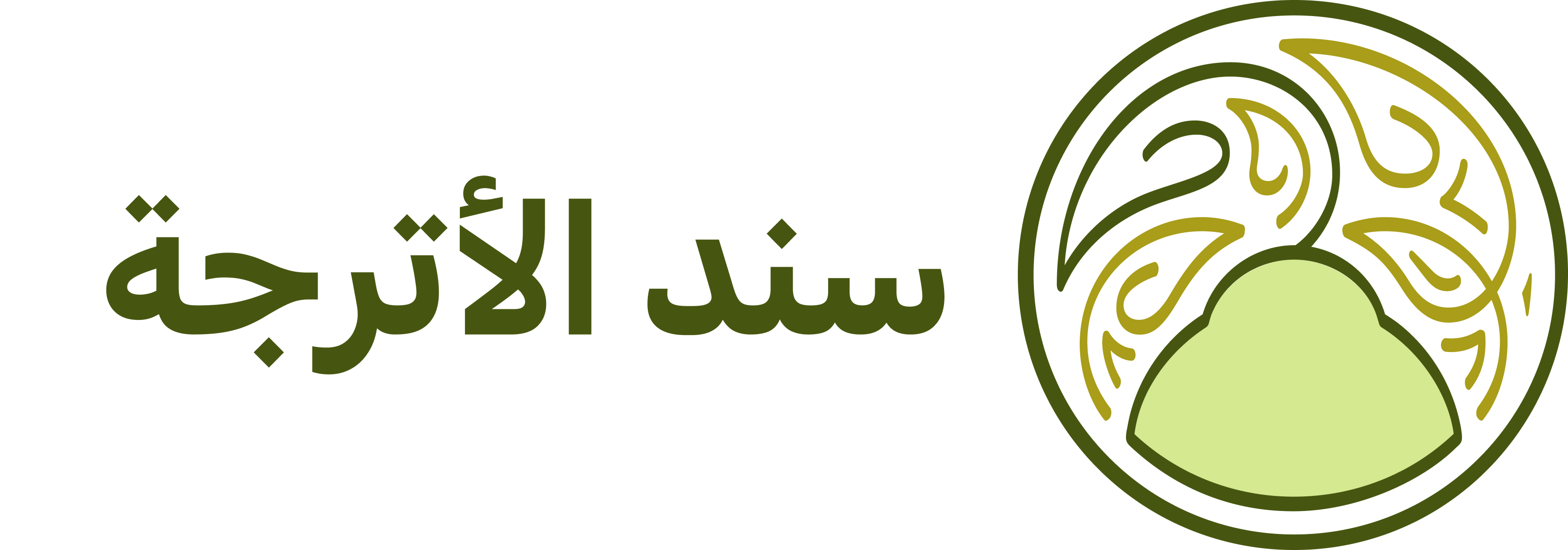 program image
